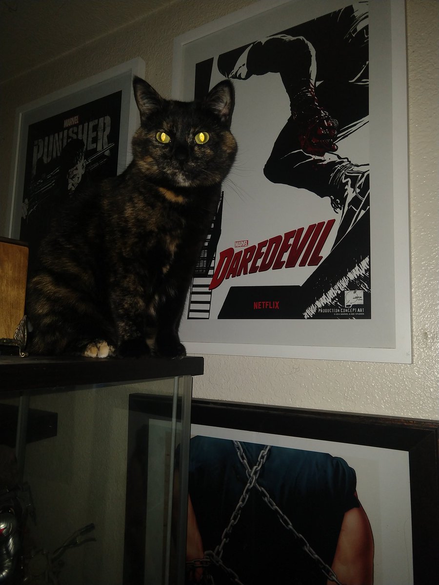 Maebh_and_Lugh's tweet image. 