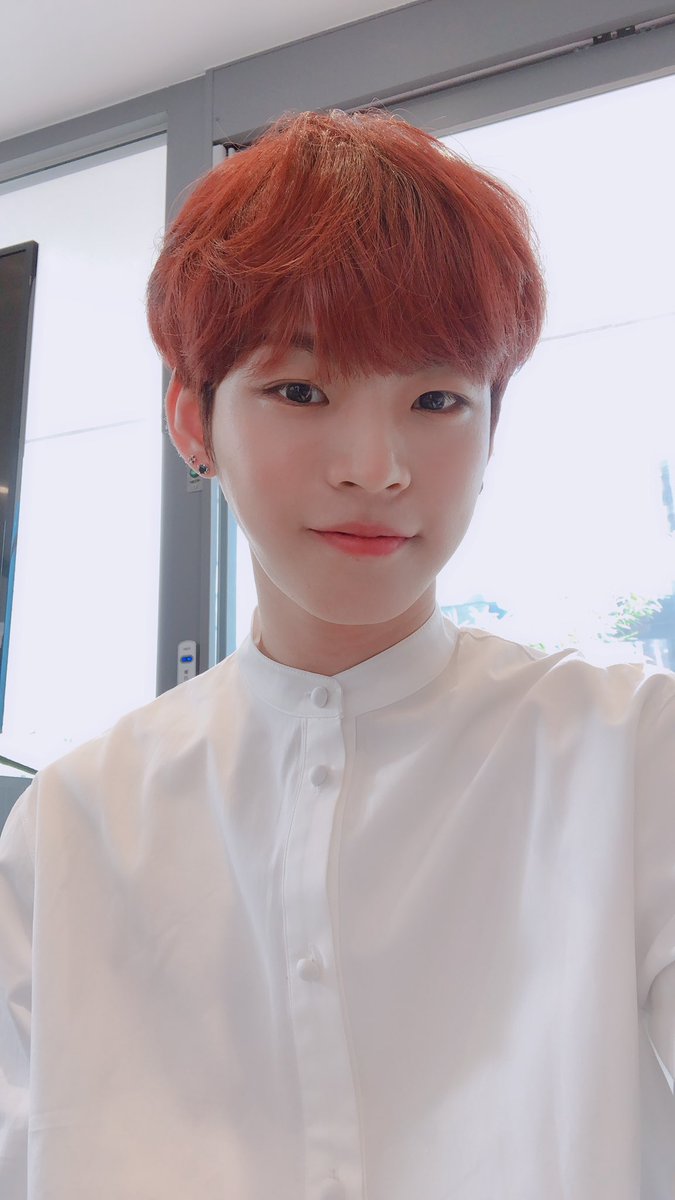 하늘색청개구리(slow) (@a4864164) on Twitter photo 