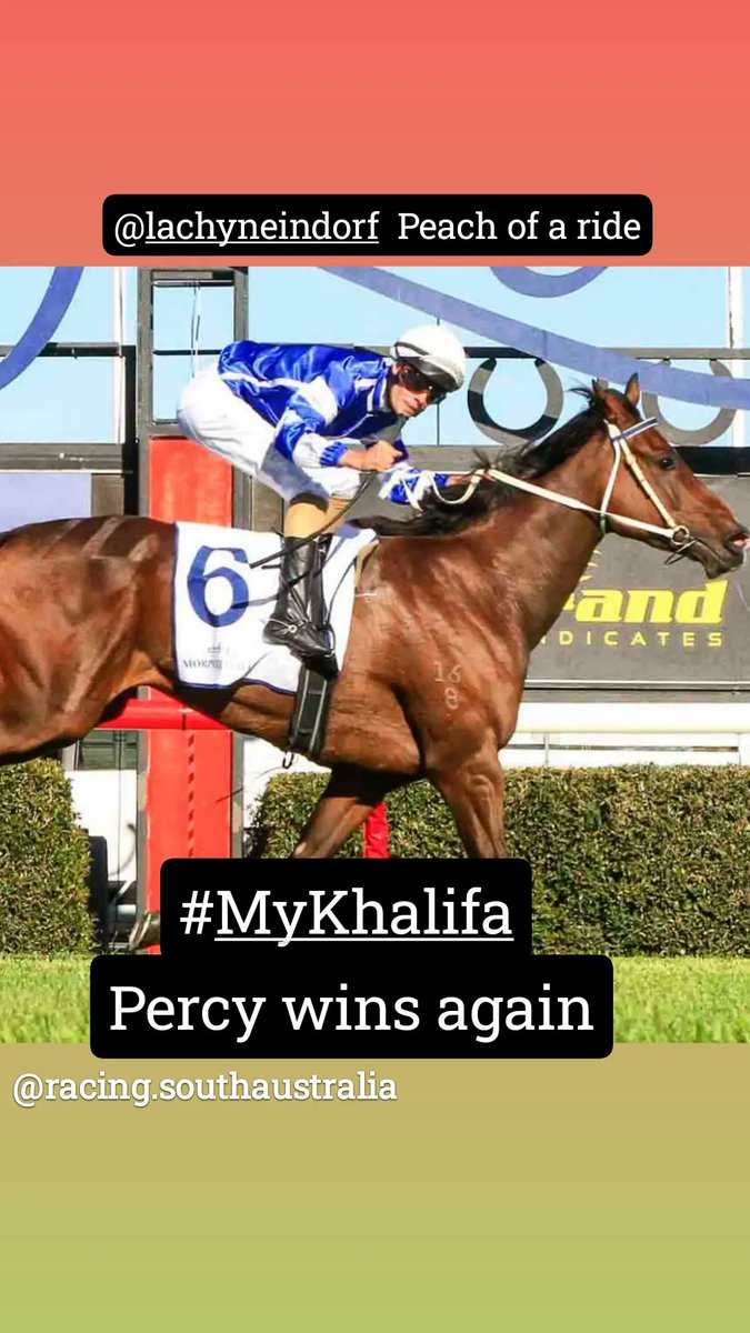 ChelseaFCOwner's tweet image. Our star #MyKhalifa won his 1st Stakes race today against "much better" horses... absolutely brained them

Percy 

@racing 
City of Adelaide Stakes Listed Race
#RacingSA

#Racehorses  #winning 
#MorphettvilleParks #EquineScience