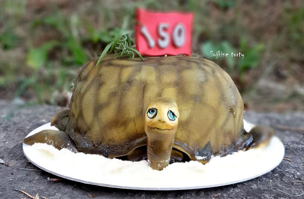 CakesDecor's tweet photo. Sweet tortoise:::))) by SojkineTorty
https://t.co/6TBNC5xrtG
#cakeforwoman #funcakes #oldturtle https://t.co/8PeRYNAQzr