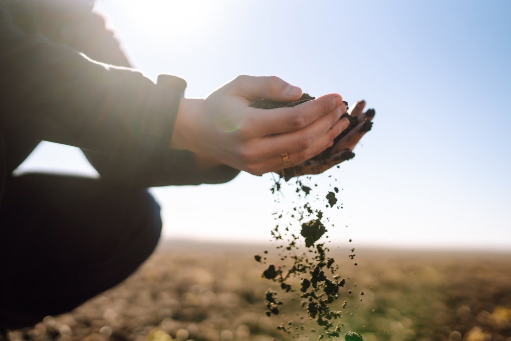 FarmPlusNL's tweet photo. Soil is where life begins, soil is where food begins🌱
.
#vanenvoorboeren #DagvandeAarde #22april #EarthDay https://t.co/6TICmySx1E
