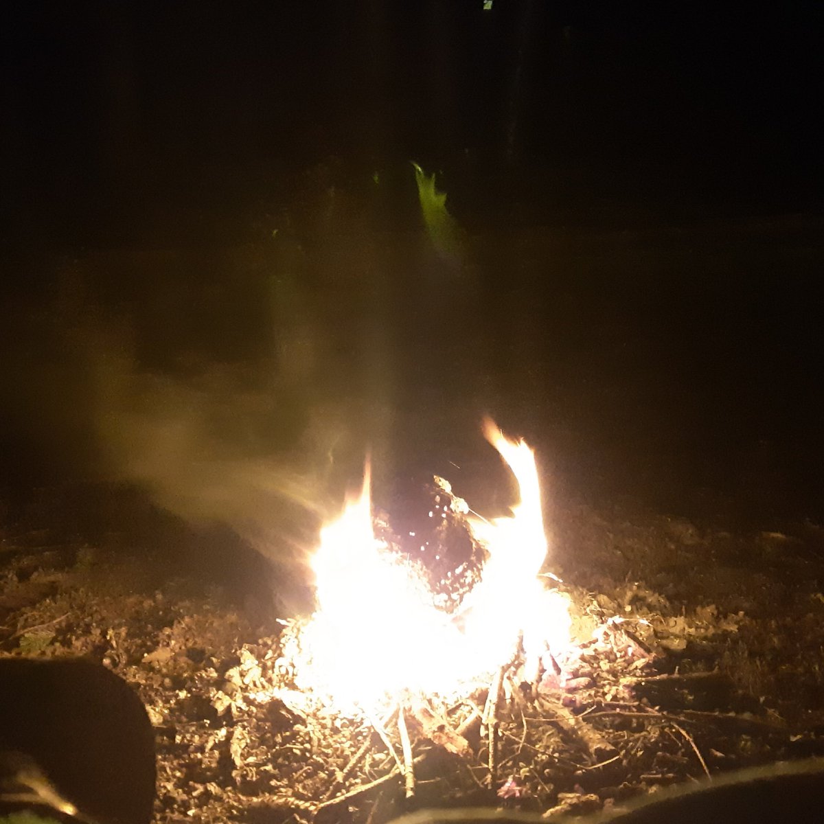 Listening deep to the <a href="/wetlandproject/">Wetland Project</a> broadcast of a gulf island bog for the 24hrs of #EarthDay #FROGSOVERDOGS #BirdsUp