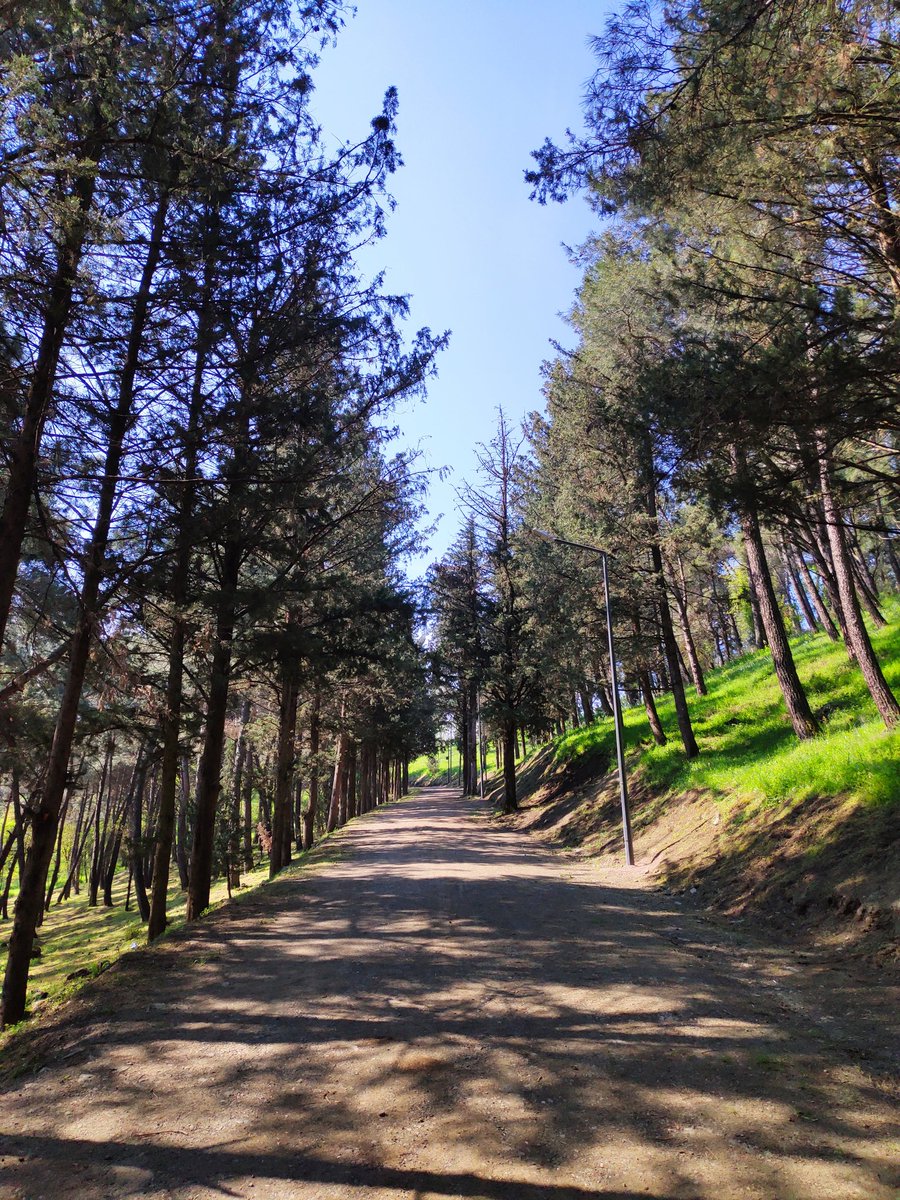 berkerdogan.eth 🌐🏛️ | Art Unchained tweet media