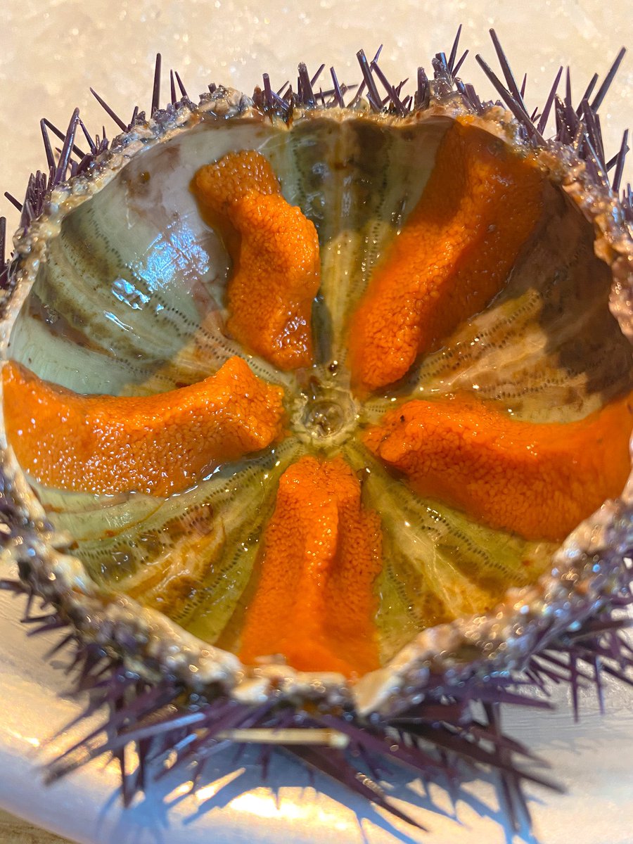 corviniano's tweet photo. 🍽 El Señor Martín - Madrid - @elsrmartinrest
➡️ Erizo de Cangas al natural. 🔝🔝🔝
#fotogastronomica #fotografiagastronomica #gastronomia #comer #food #photofood #foodphotography #restaurantesmadrid https://t.co/EpSNDmdQ1m