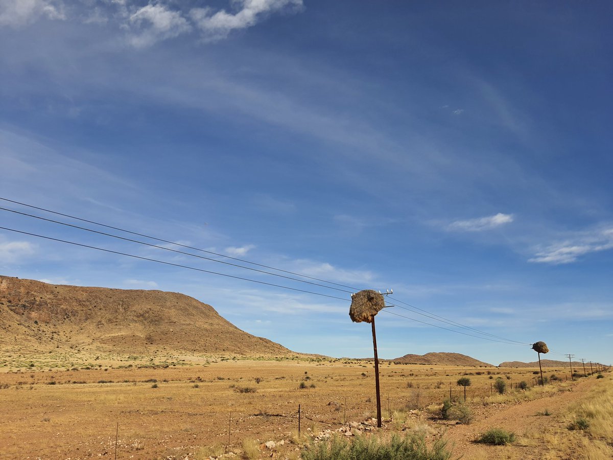 bpuys6's tweet photo. .@afriforum is meeting communities in the Northern Cape Province today to strengthen community self management & property rights. Good intercultural relations and cooperation is key to ensure a prosperous future for all peoples at the southern tip of Africa. #communityfederalism https://t.co/rzIhMPMBRc