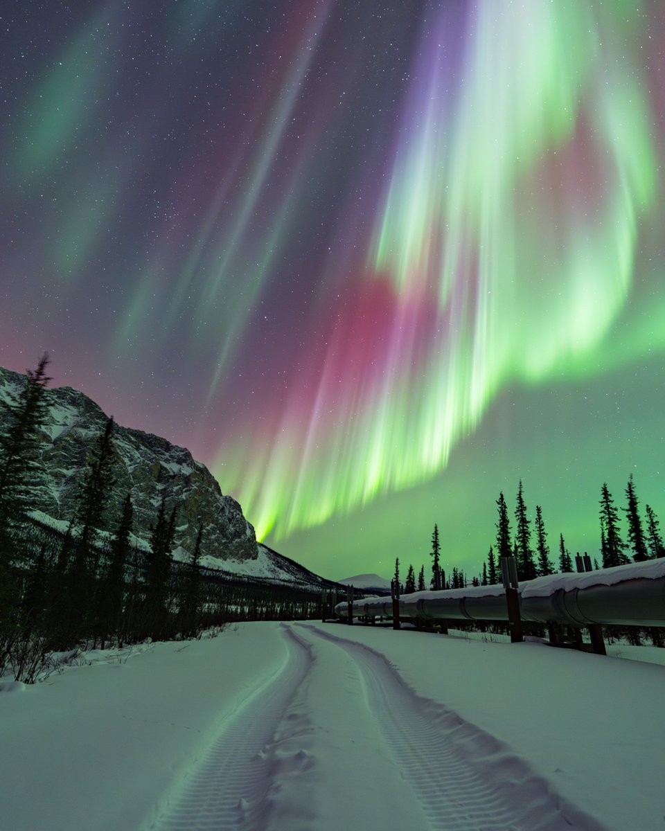 Happy Earth Day! This planet is pretty amazing.