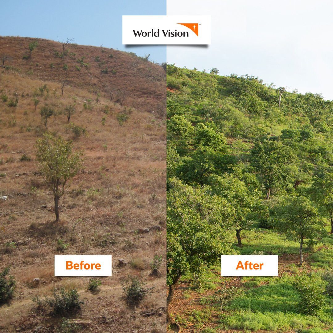 World Vision Malaysia tweet media