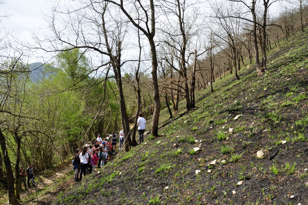 a_gironagarcia's tweet photo. Gran día en el campo con escuelas rurales del concejo de Sobrescobio, hablando de bosques, incendios, usos del fuego y restauración de zonas quemadas, en el contexto del proyecto de aprendizaje-servicio @PLANTANDO_CF 🔥🔥🔥 https://t.co/sAUjY7QX4v