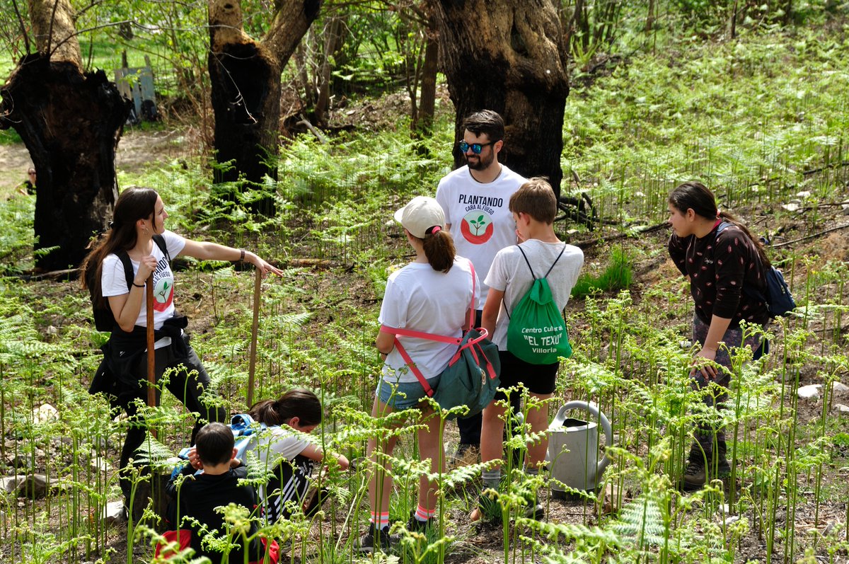 a_gironagarcia's tweet photo. Gran día en el campo con escuelas rurales del concejo de Sobrescobio, hablando de bosques, incendios, usos del fuego y restauración de zonas quemadas, en el contexto del proyecto de aprendizaje-servicio @PLANTANDO_CF 🔥🔥🔥 https://t.co/sAUjY7QX4v
