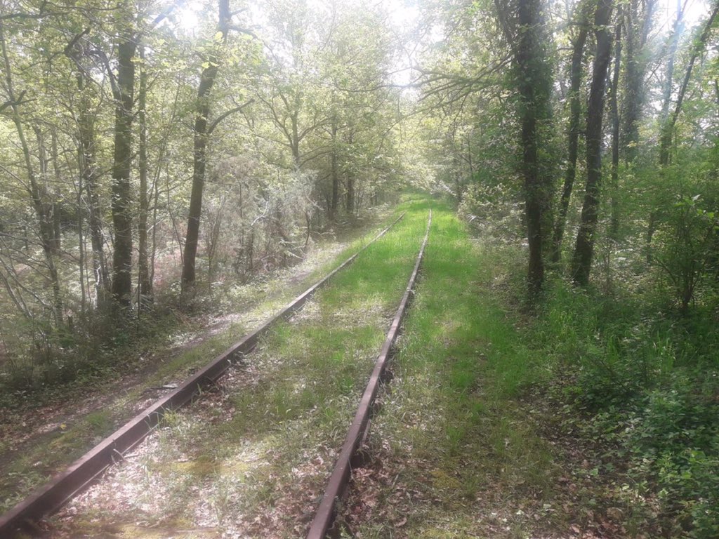 Que se passe t’il quand une voie ferrée est abandonnée?

Petit thread (Réédition)⤵️⤵️⤵️