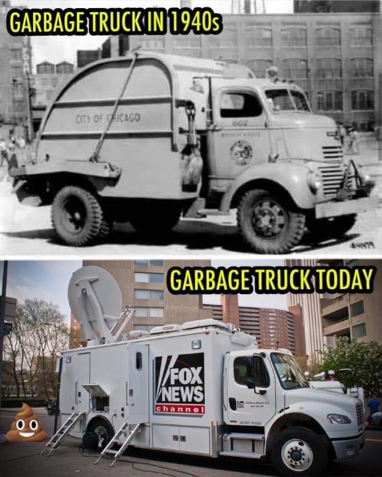 Mindful Phoenix tweet media