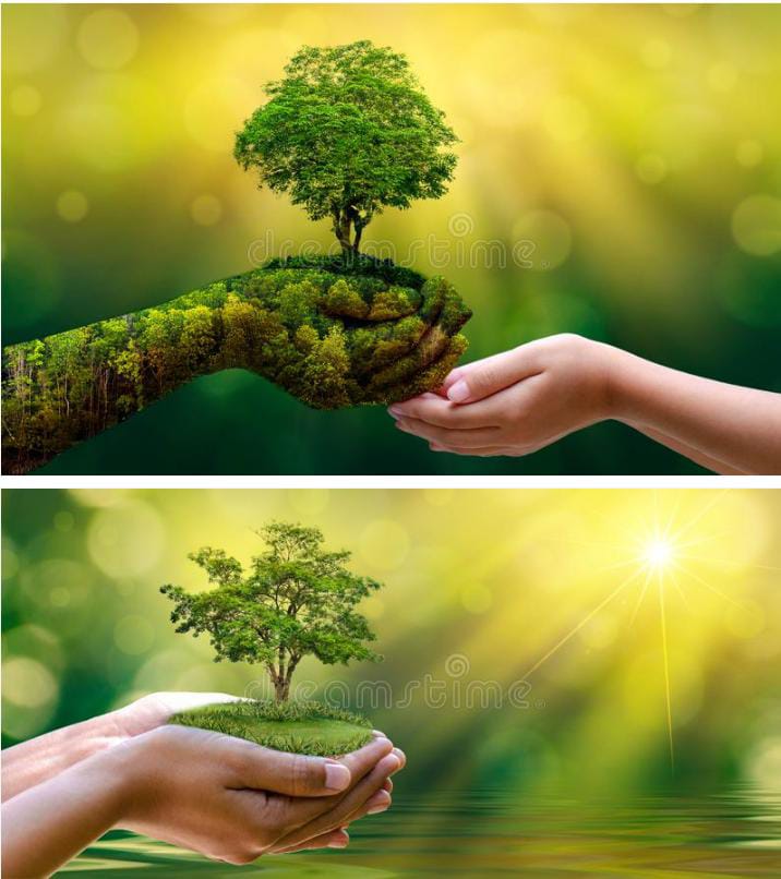 AlkaJCHAUHAN1's tweet photo. .
#earthday
#SaveEarth #savetrees🌴
#WorldEarthDay
#SWAMIRAMDEV #ACHARYABALKRISHNA #sadhvidevpriya #rakeshbharat #SocialYogi #patanjlisocialmedia #सनातनभारत #bstbiharsouth #mpysbiharsouth #poonambijay https://t.co/4syZ5FuHEi
