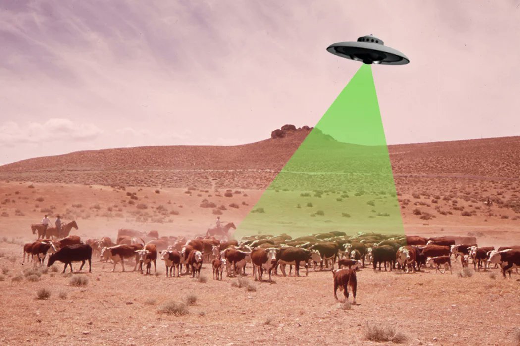 aka_brandyrenee's tweet photo. Since we seem to be going back to the 70’s, w ridiculous inflation &amp; resurgence of #Cattle mutilation stories, we should visit this article from 2011 by Michael J Goleman
-Wave of Mutilation: The Cattle Mutilation Phenomenon of the 1970s
#NotAliens

https://t.co/j7xlsosEVS https://t.co/xAb3VTe6cY