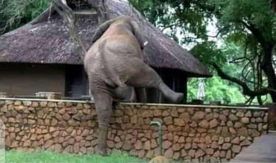 Kamene Goro leaving the streets