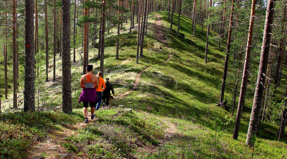 Millainen on metsäsuhteesi? Vaikuttavatko metsät onnellisuuteesi?

Kävin vastaamassa UEF:n "Metsät ja onnellisuus"-projektin kyselyyn metsäsuhteestani, käy sinäkin!

Kysely tässä:
link.webropol.com/s/foresthappin…

Infoa projektista: bit.ly/3AkDj15