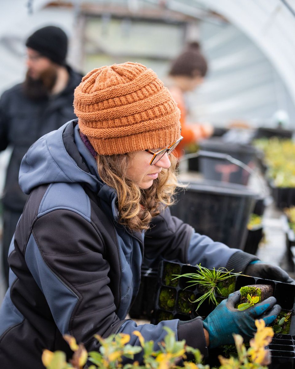 Red Carnation Hotels tweet media