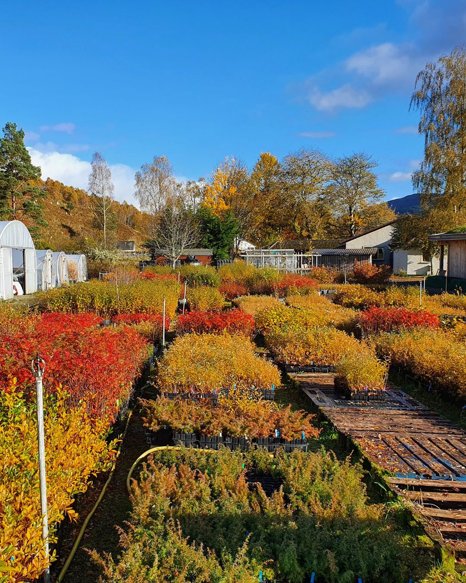 Red Carnation Hotels tweet media