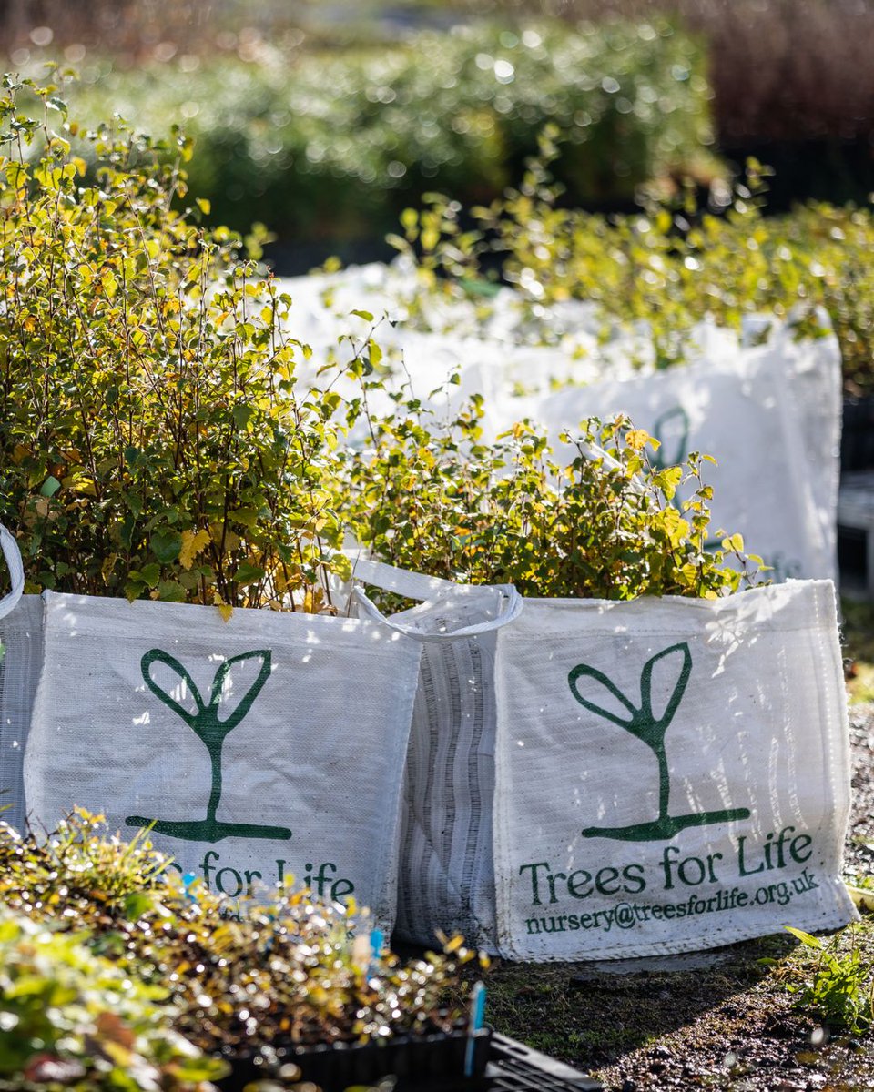 Red Carnation Hotels tweet media