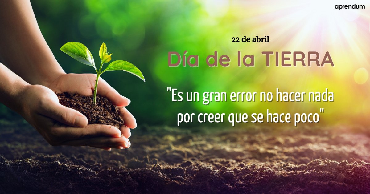 Aprendum tweet media