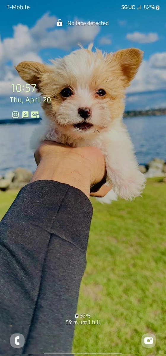 khayslays555 tweet media