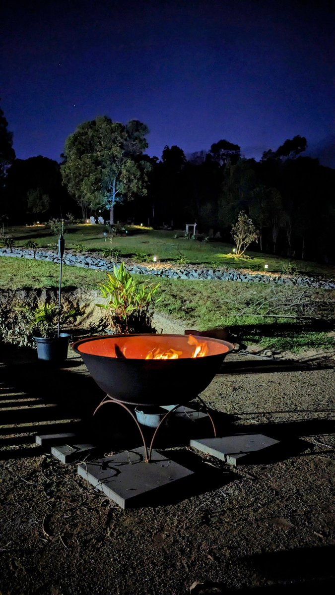 Coach Hollywood tweet media