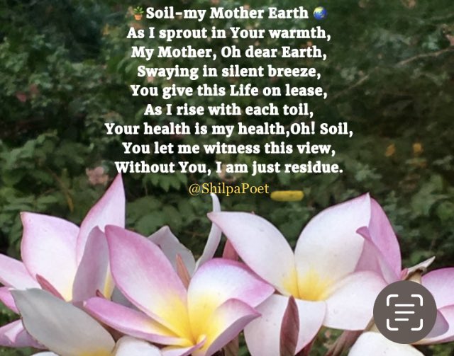 🪴As I sprout in Your warmth
My Mother,Oh dear Earth
Swaying in silent breeze
You give this Life on lease
As I rise with each toil
Your health is my health
Oh!Soil
You let me witness this view
Without You, I am just residue 
#poetry #WritingCommnunity 
#EarthDay #SaveSoil