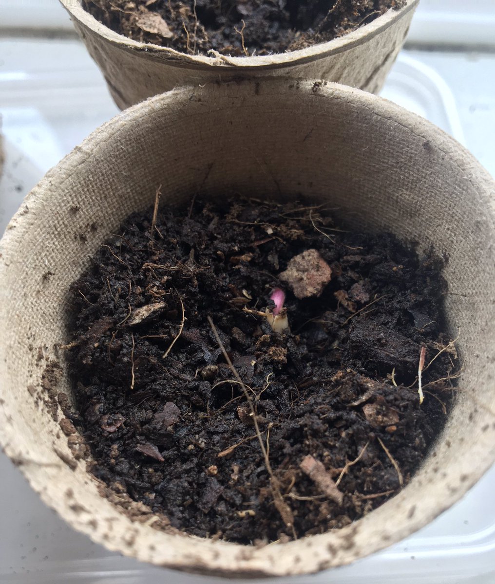 Lou Coleman tweet media