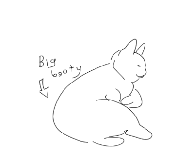 I love when cats are so shaped 