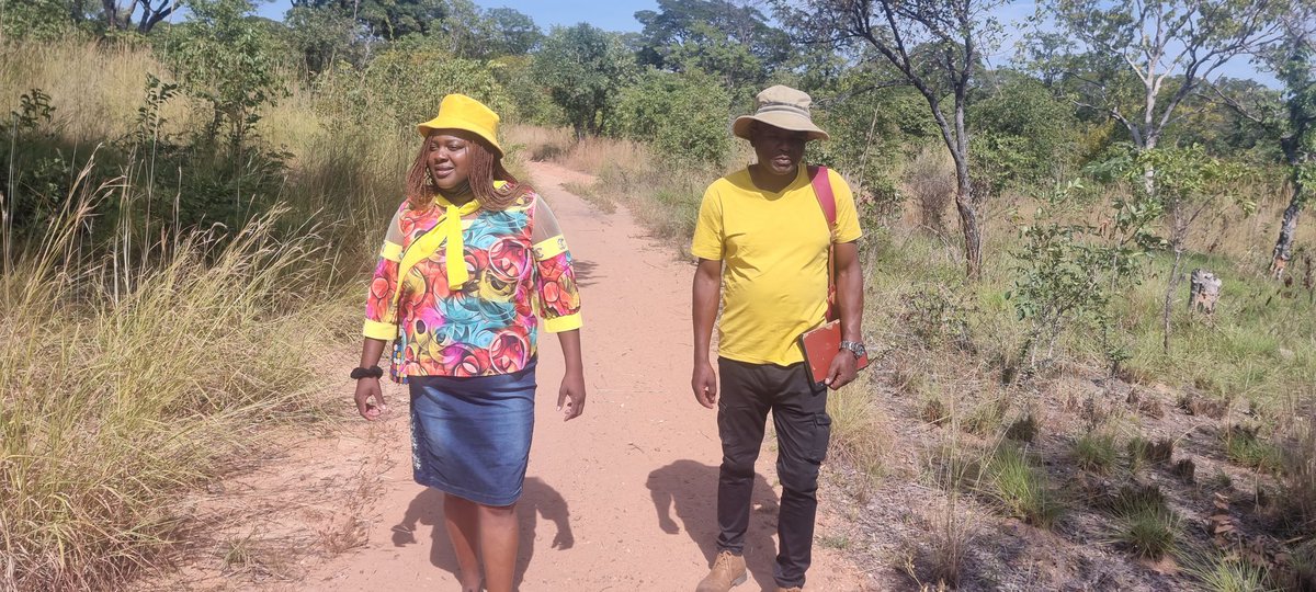 mutsamu's tweet photo. I was in Siakobvu, deep in rural Kariba, in the valley of the Zambezi, collecting CVs for the over- subscribed nominees. The CIPS will be overwhelmed with vetting. We will have 100% candidates. BUT the journey to Siakobvu is a story for another thread! @drDendere https://t.co/Q4Mh1dEV4O