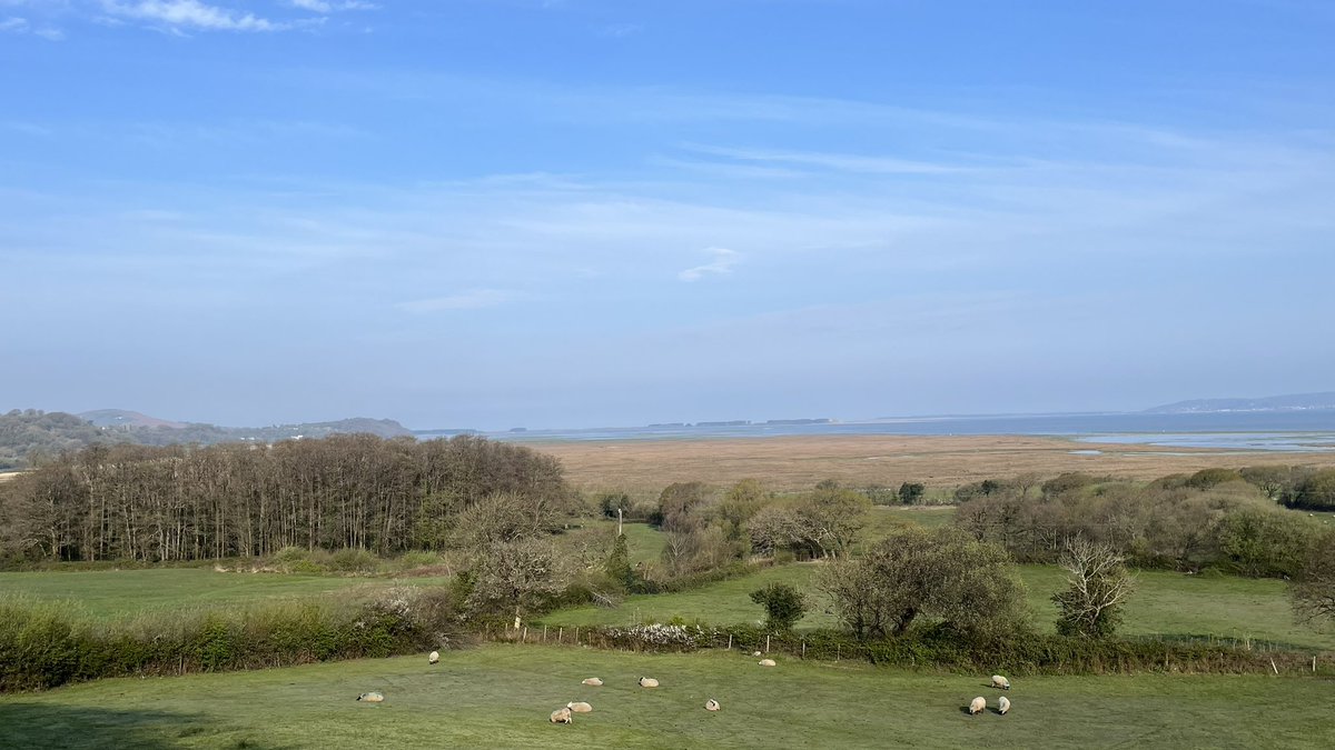 Arwelycwm's tweet photo. Bore braf yn Llanrhidian. Lovely morning, Llanrhidian.@S4Ctywydd @StormHour @ThePhotoHour @BaeAbertaweGIG @ItsYourWales https://t.co/kNODjmpMlK