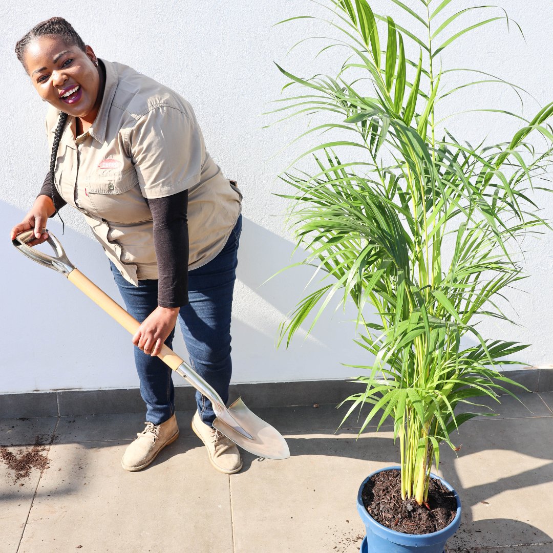 ObaroGroup's tweet photo. Check out our amazing #OBARIANS taking part in our #EarthDay initiative! 🌳🌍 

#OBARO #AlignedWithTheFarmer #InvestInOurPlanet https://t.co/JRKUQ0Dg1y