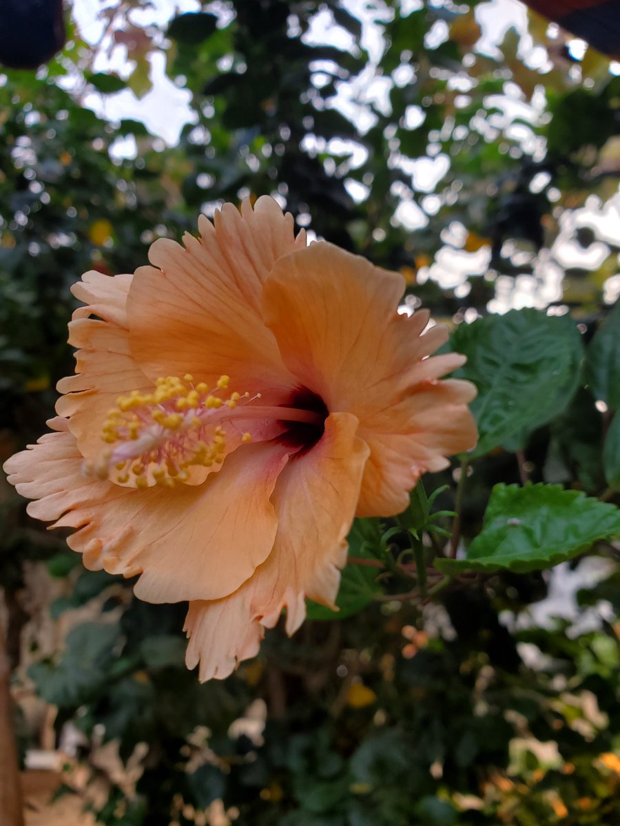bhibatsam's tweet photo. I'm asking those who love the outdoors to post a picture. A picture that YOU took. Just a pic. No description. The goal is to regain peace and harmony without negativity. Please copy the text, put a picture on YOUR page, and let's look at these beautiful pictures. Here’s mine https://t.co/FQGTNtT0V6