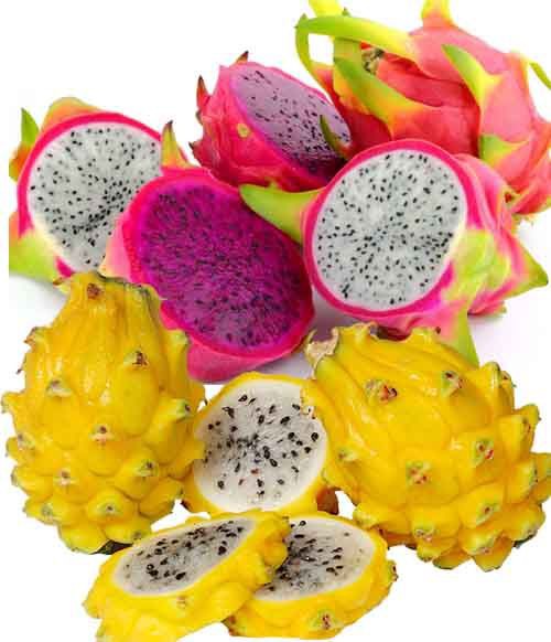 Farmsol on Twitter "RT mynzagric254 Dragon fruit is one of the MOST expensive fruits in Kenya