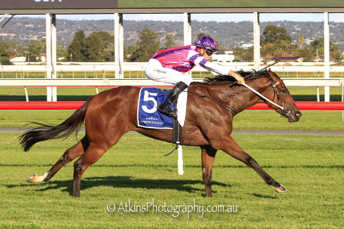 Zac Spain (@lil_spaino96) on Twitter photo Iβmlovinβya getting the job done in Adelaide! Great result for everyone involved ππ» <a href="/MickPriceRacing/">Price Kent Racing</a> <a href="/MichaelRhysKent/">Michael Kent</a> <a href="/UnitedSynd/">United Syndications</a> Iβmlovinβya getting the job done in Adelaide! Great result for everyone involved ππ» <a href="/MickPriceRacing/">Price Kent Racing</a> <a href="/MichaelRhysKent/">Michael Kent</a> <a href="/UnitedSynd/">United Syndications</a>