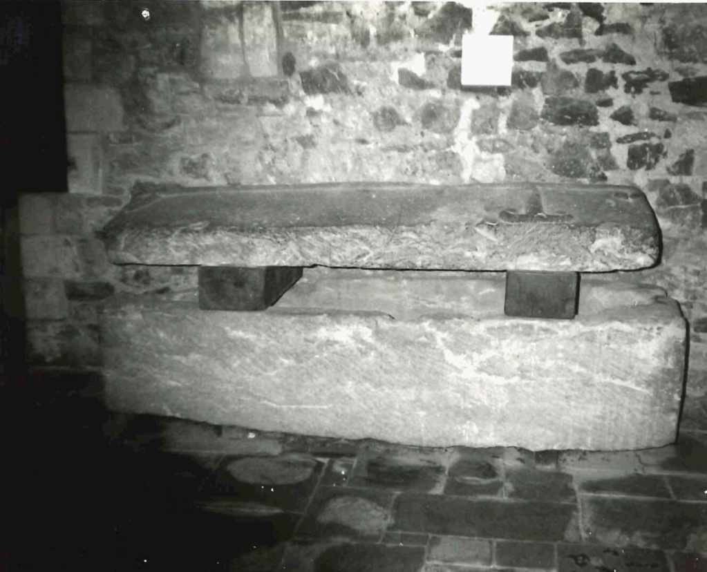 Wandering Tiger Productions tweet media