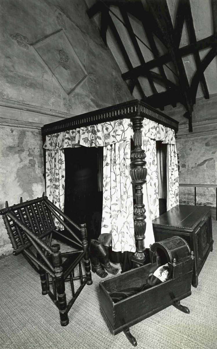 Wandering Tiger Productions tweet media