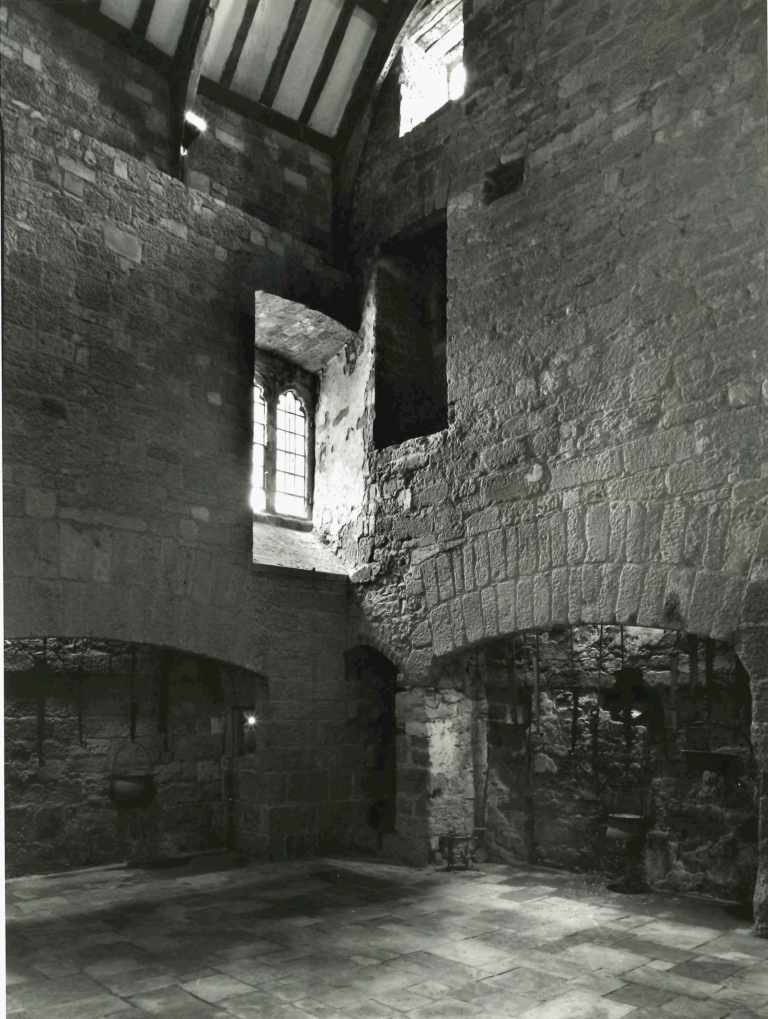 Wandering Tiger Productions tweet media