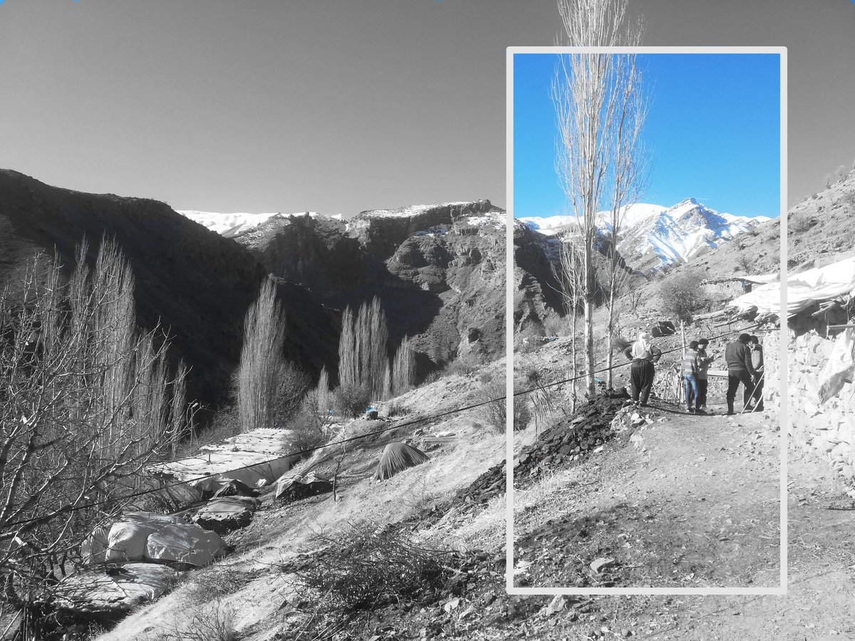 trajik hata (@gumgumokk) on Twitter photo 