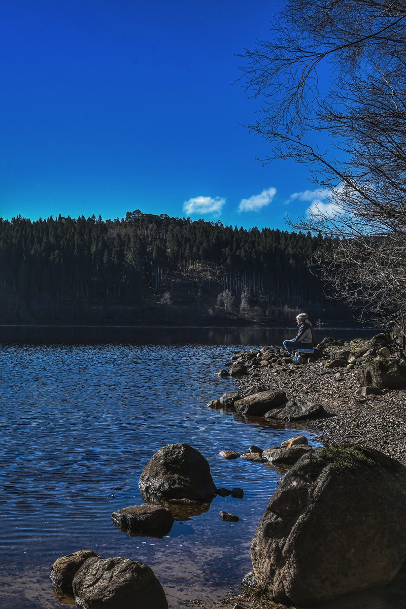 TBayliss_ photography tweet media