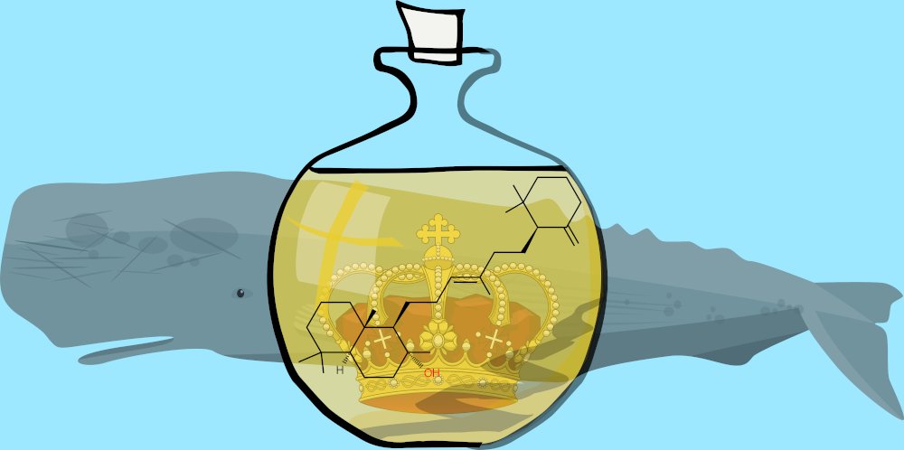 lipidmaps's tweet photo. Of crowns and kings, and whales and oils. 
May's #LipidoftheMonth didn't get an invite to next weekend's #coronation. 

https://t.co/3EEoPTggc3 https://t.co/Gco8Kn8gjY