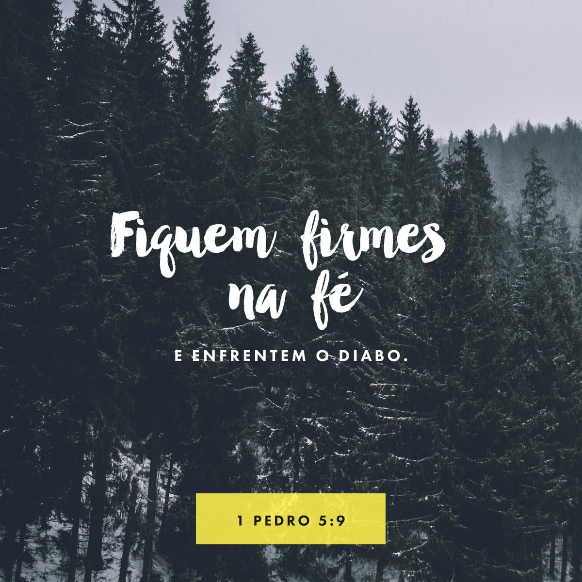 LuisDGBruno's tweet photo. Firmes!
Bom dia!
#PalavradeDeus #iasd #adventista #adventistas #iasd #Deus #JesusCristo #EleVem #eucreio #fe #fé #palavradeDeus #Palavra_de_Deus #Elevirá #Elevira https://t.co/EhSF71UK0n