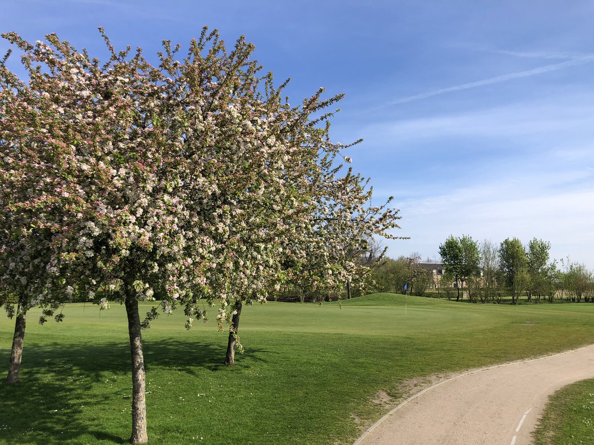 tijmmm's tweet photo. Wat een mooie dag voor mijn eerste  ⛳️in one 🍀@TheMondialGolf #hole2 https://t.co/rTVRn6dWXV