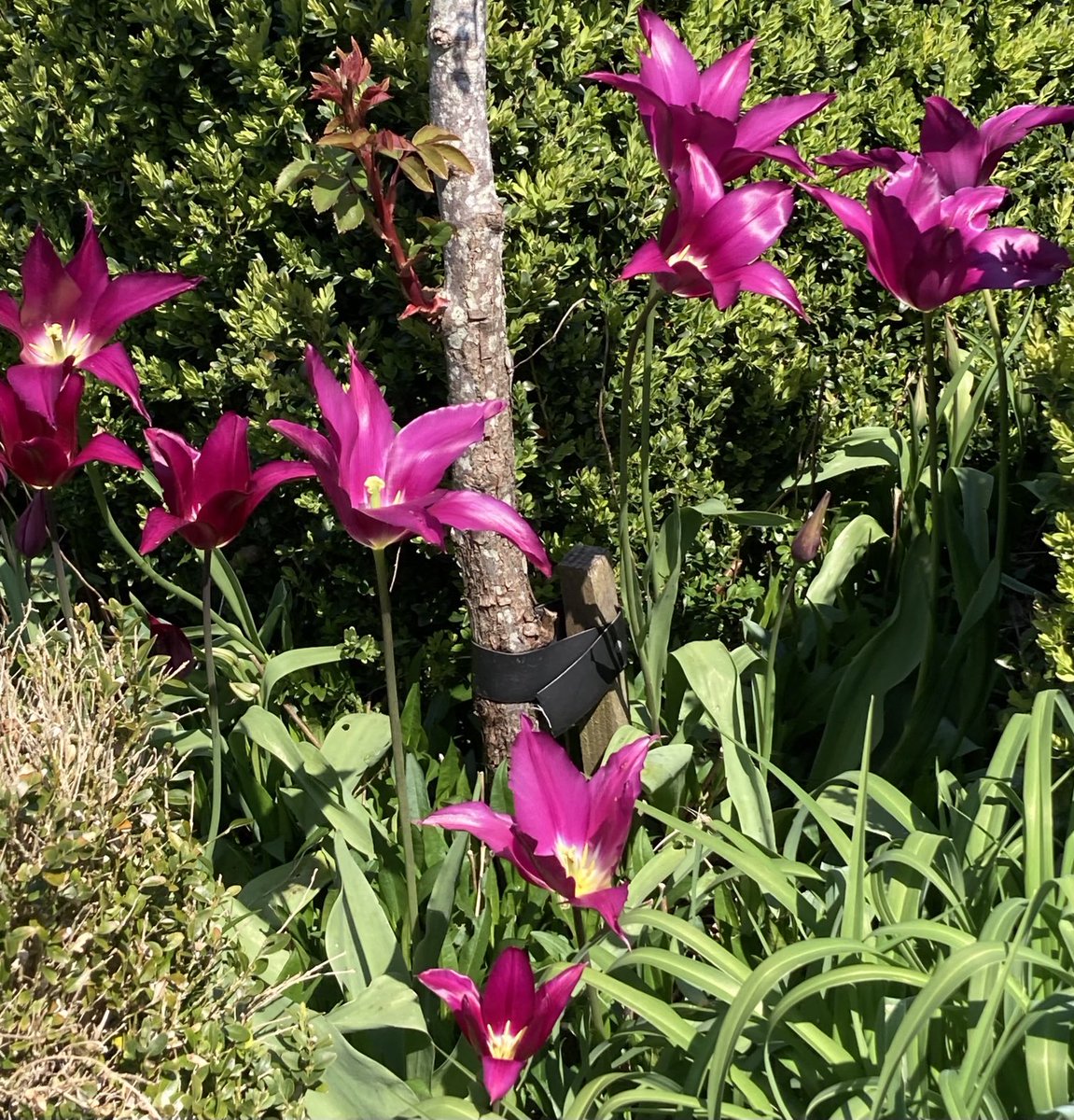 HilaryBurrage's tweet photo. Earth Day https://t.co/QouCFAJeFk