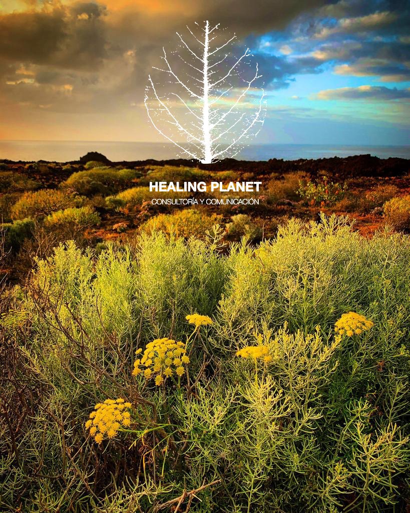 #DiaInternacionaldelaMadreTierra 🌍