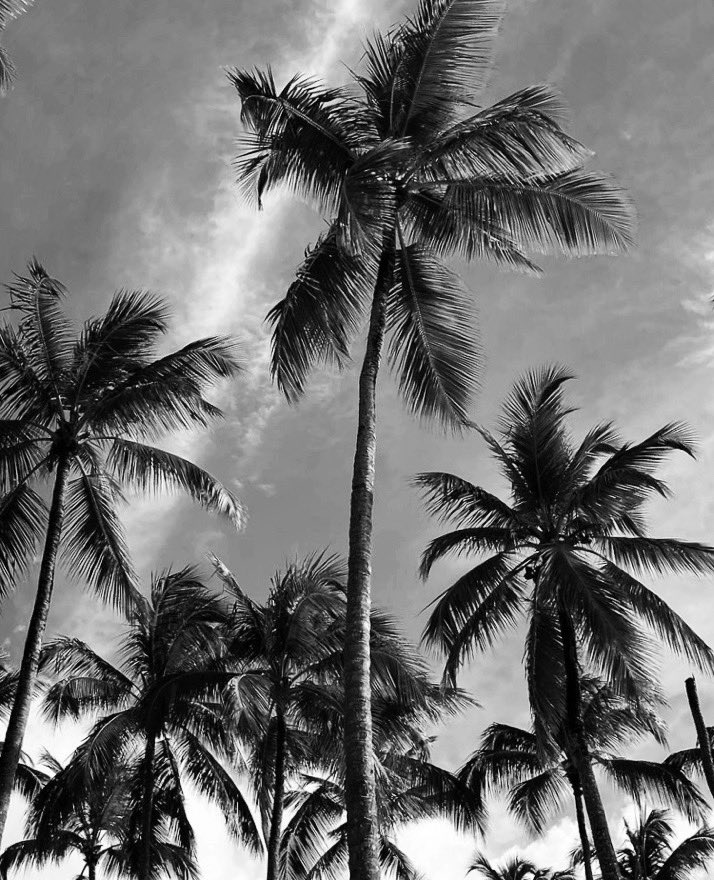 Mi pequeña costa, ahora sí, CASA 💙 #mediterraneamente