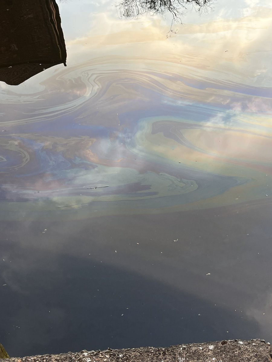 ByNorwich's tweet photo. @BroadsBeat There appears to be oil / petrol in the Wensum between Novi Sad and Lady Julian bridges (and beyond). https://t.co/wX3ITcnsg1
