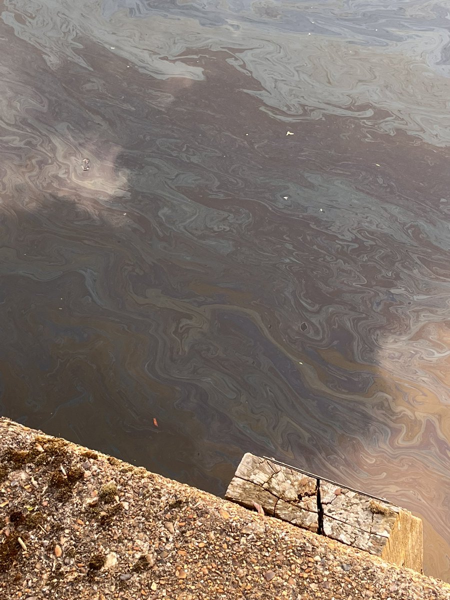 ByNorwich's tweet photo. @BroadsBeat There appears to be oil / petrol in the Wensum between Novi Sad and Lady Julian bridges (and beyond). https://t.co/wX3ITcnsg1