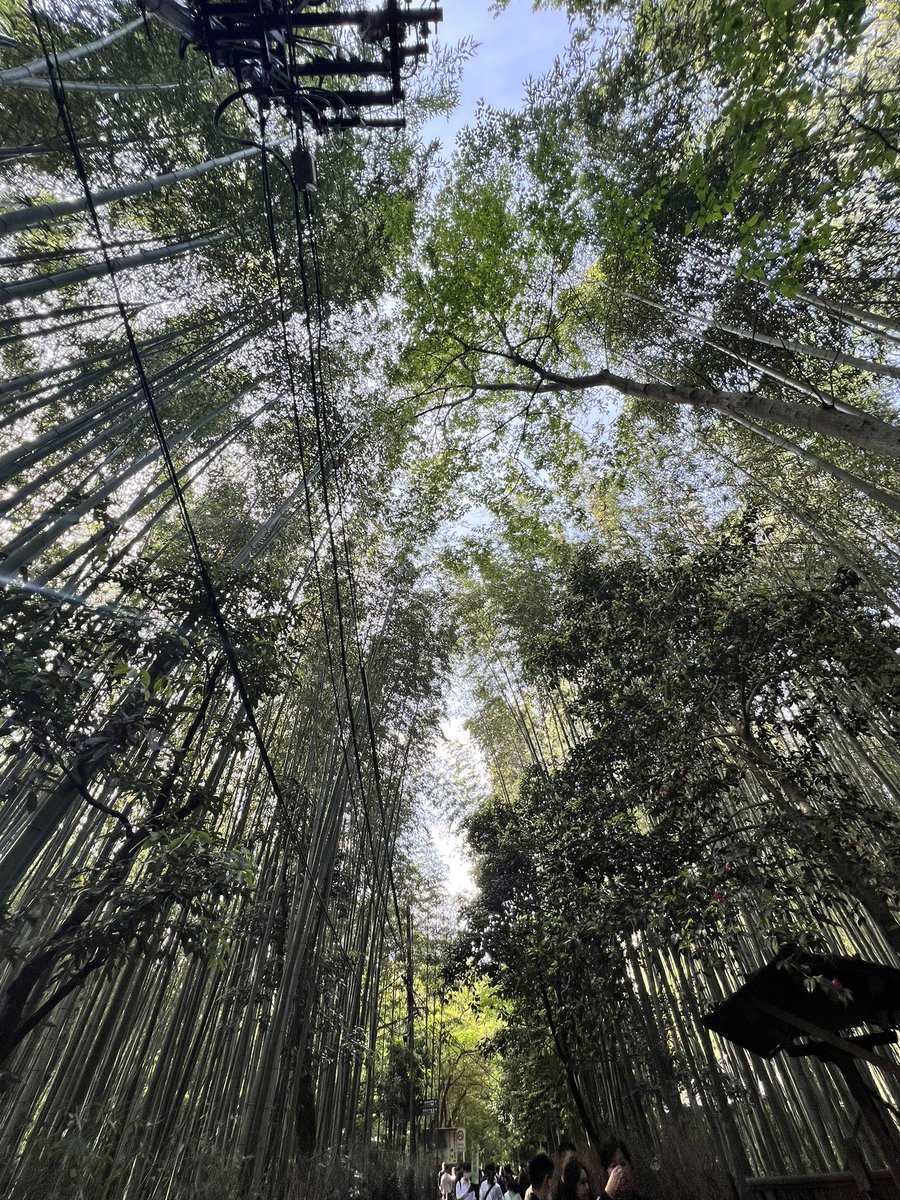 細木 祐佳/Yuka Hosoki on Twitter