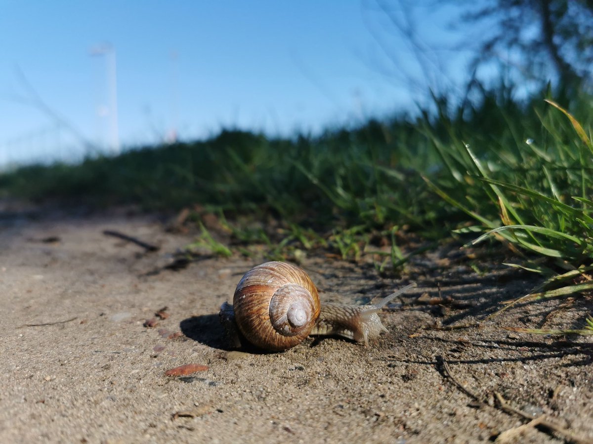 ylllayllla's tweet image. Wypełzłam ze swej skorupy i stwierdzam, że dziś jest pięknie :) Dzień dobry wszystkim :)