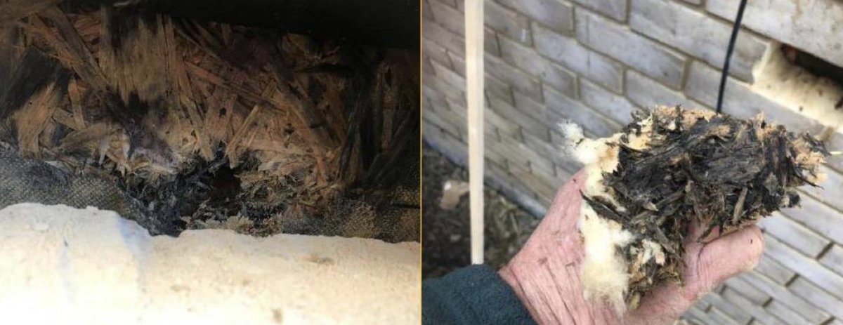 S106stories's tweet photo. #Unsafecladding, beer cans as fire breaks @ahillslegal rotting untreated timber frames @dannybster Millions trapped in the  #buildingsafetycrisis having to pay for remedial work or leave their 🏠@claireabouts Please support @polluterpaysbsb Developers must pay @RishiSunak https://t.co/yQoGT0VOg3
